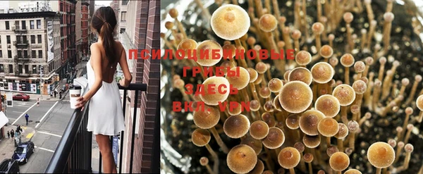 spice Заволжье