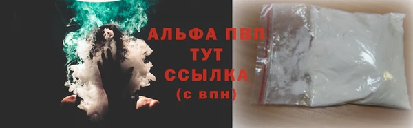 дмт Белокуриха