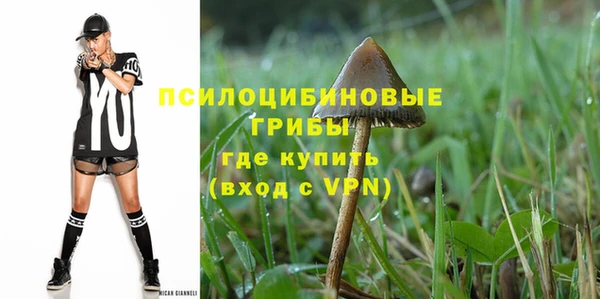 дмт Белокуриха