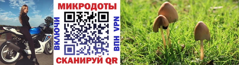 Галлюциногенные грибы Cubensis  купить наркотик  Свободный 